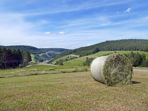 Heibet in Tennenbronn