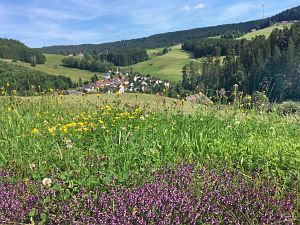 Heibet in Tennenbronn