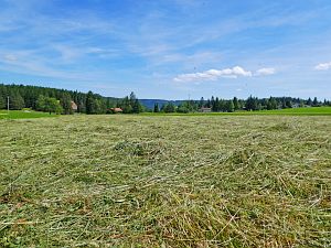 Heibet in Tennenbronn