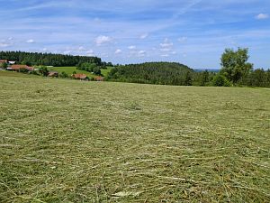 Heibet in Tennenbronn