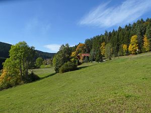 Herbst in Tennenbronn