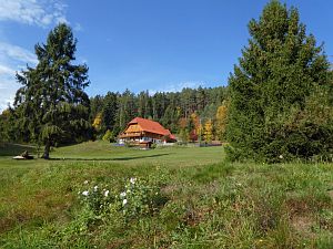 Herbst in Tennenbronn