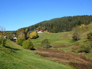 Herbst in Tennenbronn