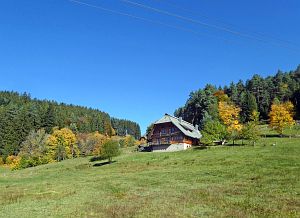 Herbst in Tennenbronn