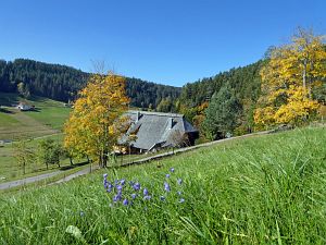 Herbst in Tennenbronn