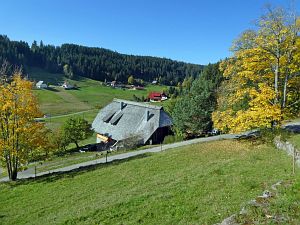 Herbst in Tennenbronn