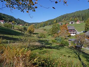 Herbst in Tennenbronn