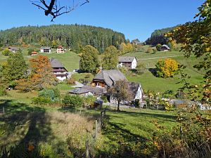 Herbst in Tennenbronn