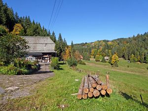 Herbst in Tennenbronn