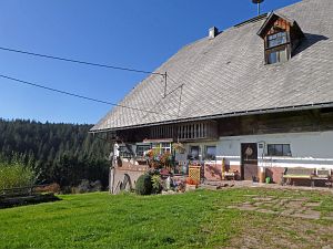 Herbst in Tennenbronn