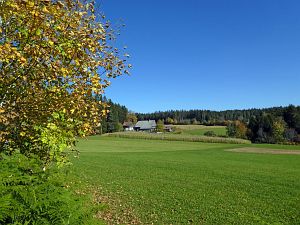 Herbst in Tennenbronn