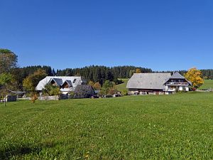 Herbst in Tennenbronn