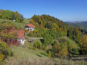 Herbst in Tennenbronn