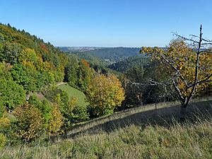Herbst in Tennenbronn