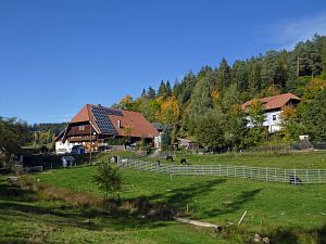 Herbst in Tennenbronn
