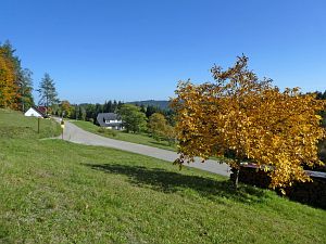 Herbst in Tennenbronn