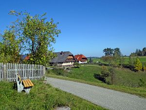 Herbst in Tennenbronn
