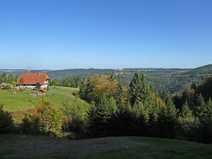 Herbst in Tennenbronn