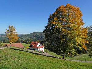 Herbst in Tennenbronn