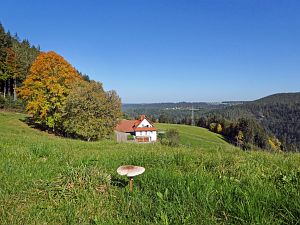 Herbst in Tennenbronn