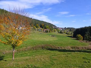 Herbst in Tennenbronn