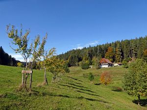 Herbst in Tennenbronn