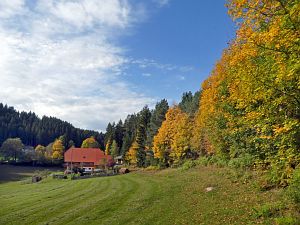 Herbst in Tennenbronn