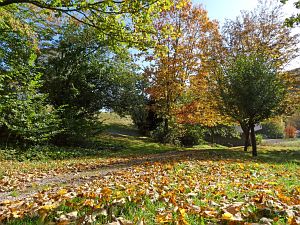 Herbstrundgang im Dorf