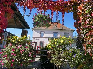 Herbstrundgang im Dorf