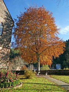 Herbstrundgang im Dorf