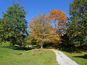 Herbstrundgang im Dorf