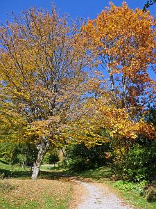 Herbstrundgang im Dorf