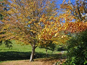 Herbstrundgang im Dorf