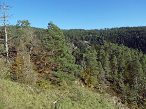 Schloesslefelsen und Muehlefelsen