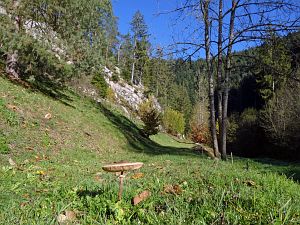 Schloesslefelsen und Muehlefelsen