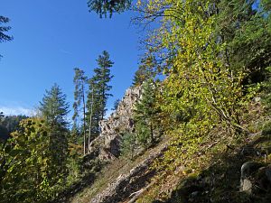 Schloesslefelsen und Muehlefelsen