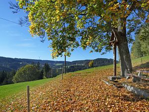 Schloesslefelsen und Muehlefelsen