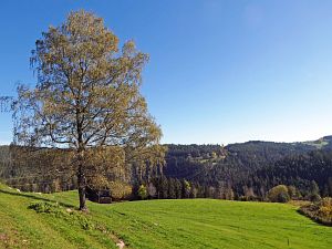 Schloesslefelsen und Muehlefelsen