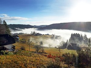 Herbst - Nebel in Tennenbronn