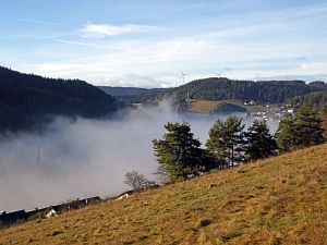 Herbst - Nebel in Tennenbronn