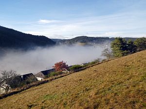 Herbst - Nebel in Tennenbronn