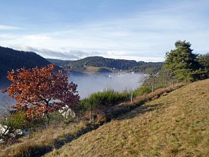 Herbst - Nebel in Tennenbronn