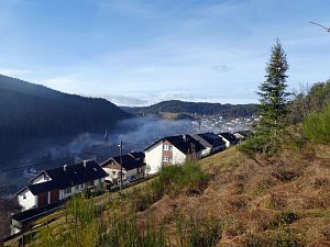 Herbst - Nebel in Tennenbronn