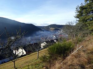 Herbst - Nebel in Tennenbronn