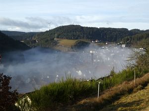 Herbst - Nebel in Tennenbronn