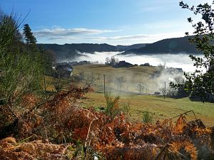 Herbst - Nebel in Tennenbronn