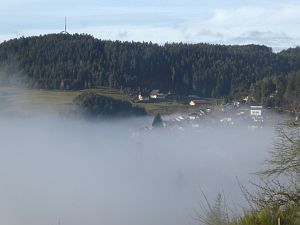 Herbst - Nebel in Tennenbronn