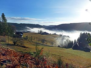 Herbst - Nebel in Tennenbronn