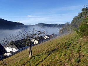 Herbst - Nebel in Tennenbronn