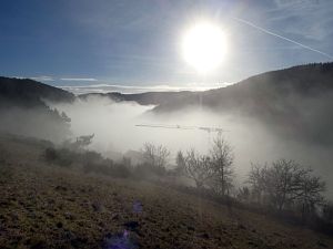 Herbst - Nebel in Tennenbronn
